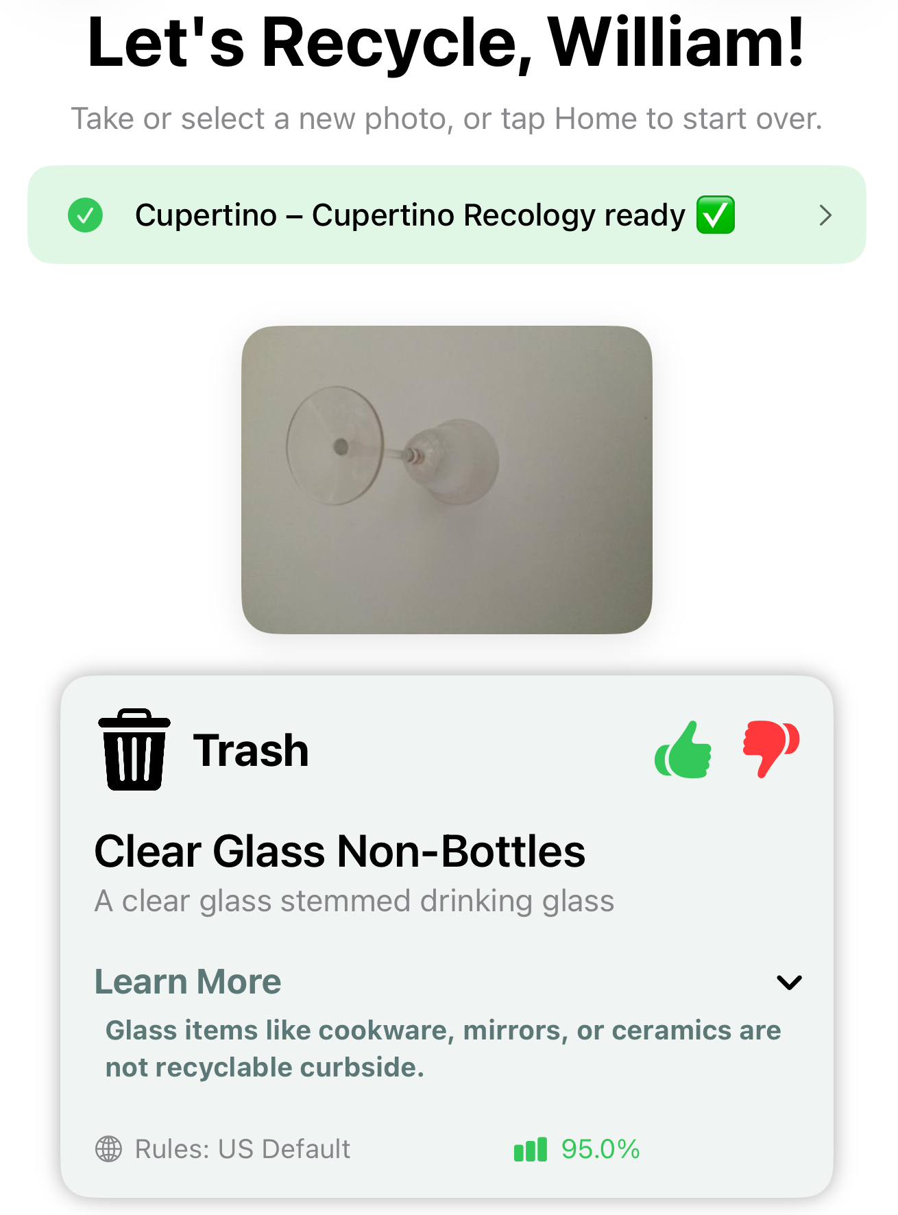 EarthSort AI analysis results